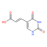 (E)-5-CARBOXYVINYL URACIL