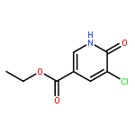 Ethyl 5-chloro-6-hydroxynicotinate