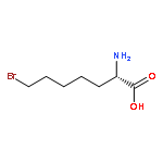 HEPTANOIC ACID, 2-AMINO-7-BROMO-, (2S)-