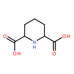 CIS-2,6-PIPERIDINE DICARBOXYLIC ACID