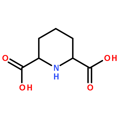 CIS-2,6-PIPERIDINE DICARBOXYLIC ACID