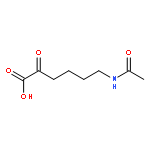 6-(acetylamino)-2-oxohexanoic acid