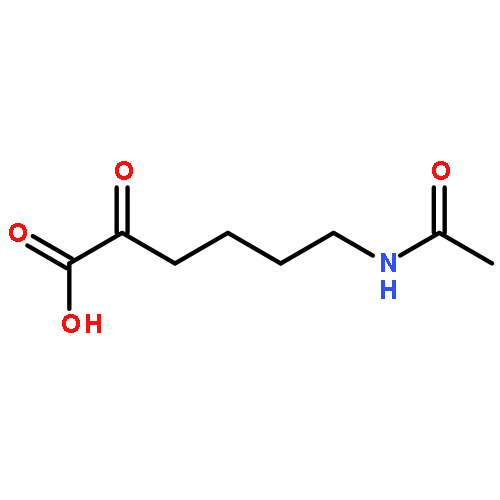 6-(acetylamino)-2-oxohexanoic acid