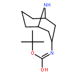 2-Methyl-2-propanyl (3-exo)-9-azabicyclo[3.3.1]non-3-ylcarbamate