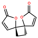 1,2-Cyclobutanediacrylic acid, 1,2-dihydroxy-, di-gamma-lactone