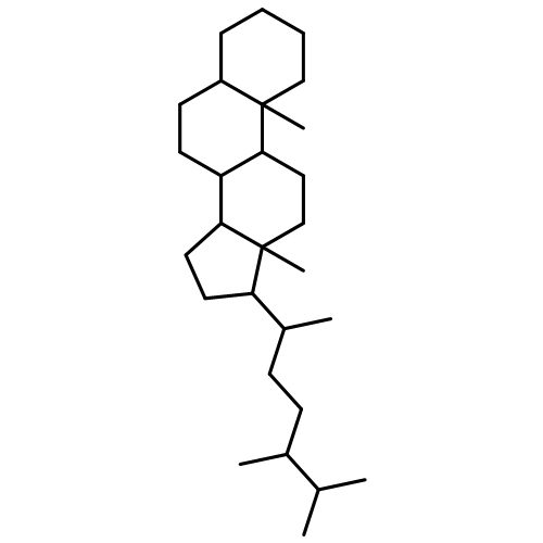 ααα (20R,24S)-24-Methylcholestane