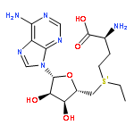 Adenosine,5'-[[(3S)-3-amino-3-carboxypropyl]ethylsulfonio]-5'-deoxy-, inner salt