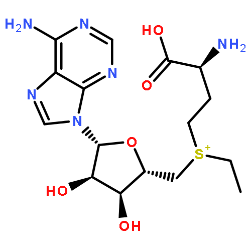 Adenosine,5'-[[(3S)-3-amino-3-carboxypropyl]ethylsulfonio]-5'-deoxy-, inner salt