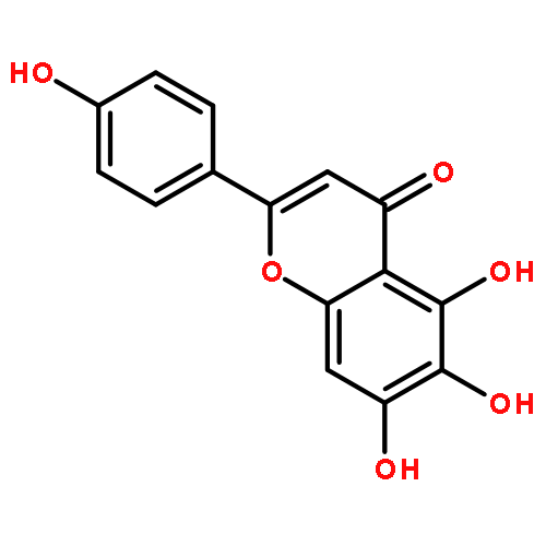 Scutellarein