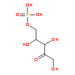 D-ribulose 5-phosphate