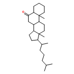 10,13-DIMETHYL-17-(6-METHYLHEPTAN-2-YL)-1,2,3,4,5,7,8,9,11,12,14,15,16,17-TETRADECAHYDROCYCLOPENTA[A]PHENANTHREN-6-ONE