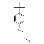 Benzene,1-(2-bromoethoxy)-4-(1,1-dimethylethyl)-