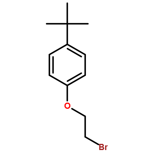 Benzene,1-(2-bromoethoxy)-4-(1,1-dimethylethyl)-