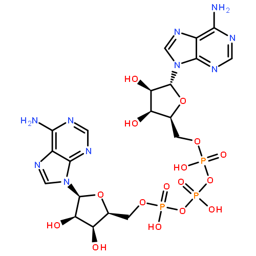 Adenosine5'-(tetrahydrogen triphosphate), P''®5'-ester with adenosine