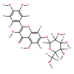 glucosyl-7 quercetine