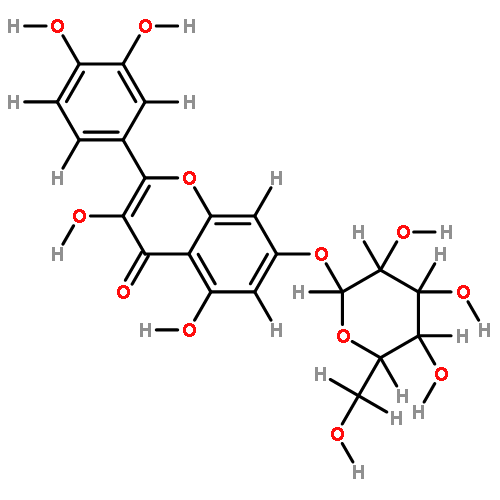 glucosyl-7 quercetine