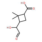 CYCLOBUTANECARBOXYLIC ACID, 3-(1-HYDROXY-2-OXOETHYL)-2,2-DIMETHYL-