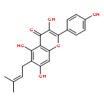 3,5,7-trihydroxy-2-(4-hydroxyphenyl)-6-(3-methylbut-2-en-1-yl)-4H-chromen-4-one