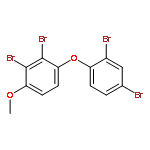 Benzene, 2,3-dibromo-1-(2,4-dibromophenoxy)-4-methoxy-