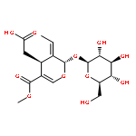 11-methyloleoside