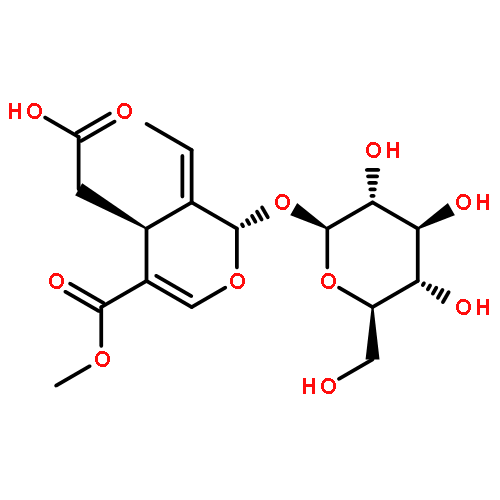 11-methyloleoside