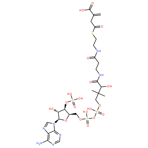 2-[2-[3-[[4-[[[(2R,3R,4R,5R)-5-(6-AMINOPURIN-9-YL)-4-HYDROXY-3-PHOSPHONOOXY-OXOLAN-2-YL]METHOXY-HYDROXY-PHOSPHORYL]OXY-HYDROXY-PHOSPHORYL]OXY-2-HYDROXY-3,3-DIMETHYL-BUTANOYL]AMINO]PROPANOYLAMINO]ETHYLSULFANYLCARBONYLMETHYL]PROP-2-ENOIC ACID