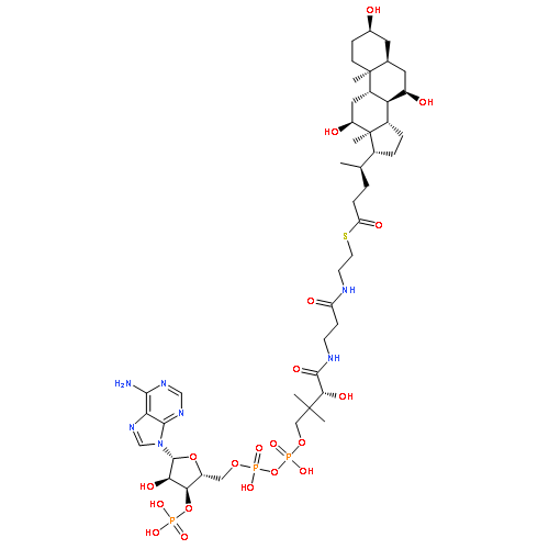 S-{(9R)-1-[(2R,3S,4R,5R)-5-(6-amino-9H-purin-9-yl)-4-hydroxy-3-(phosphonooxy)tetrahydrofuran-2-yl]-3,5,9-trihydroxy-8,8-dimethyl-3,5-dioxido-10,14-dioxo-2,4,6-trioxa-11,15-diaza-3lambda~5~,5lambda~5~-diphosphaheptadecan-17-yl} (4R)-4-[(3R,5S,7R,8R,9S,10S,