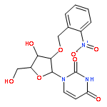 Uridine, 2'-O-[(2-nitrophenyl)methyl]-