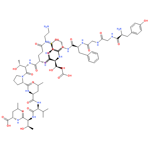 γ-endorphin