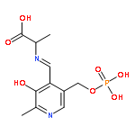 L-Alanine,N-[[3-hydroxy-2-methyl-5-[(phosphonooxy)methyl]-4-pyridinyl]methylene]-