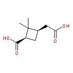 cis-pinic acid