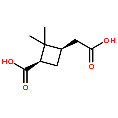 cis-pinic acid