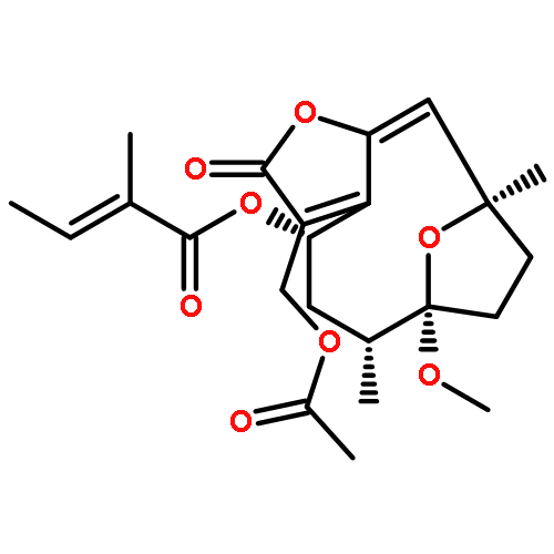 Vernolide B