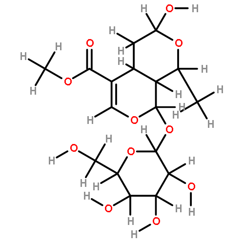 Morronnisid