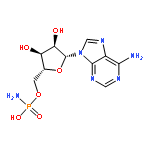 Adenosine, 5'-(hydrogenphosphoramidate) (8CI,9CI)