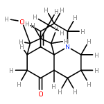 gnidioidine