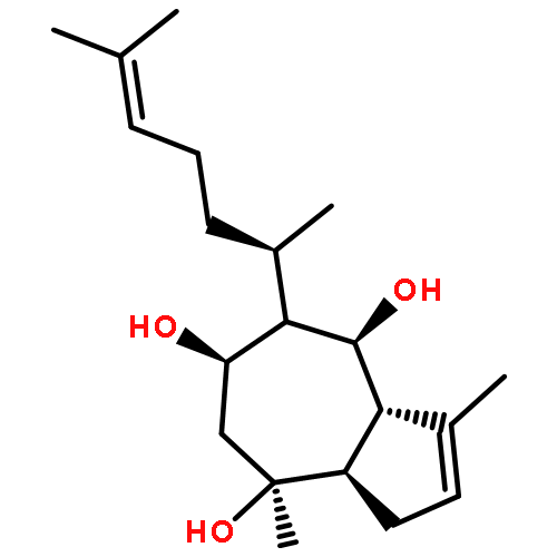 dictyol