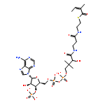 Coenzyme A,S-[(2E)-2-methyl-2-butenoate]