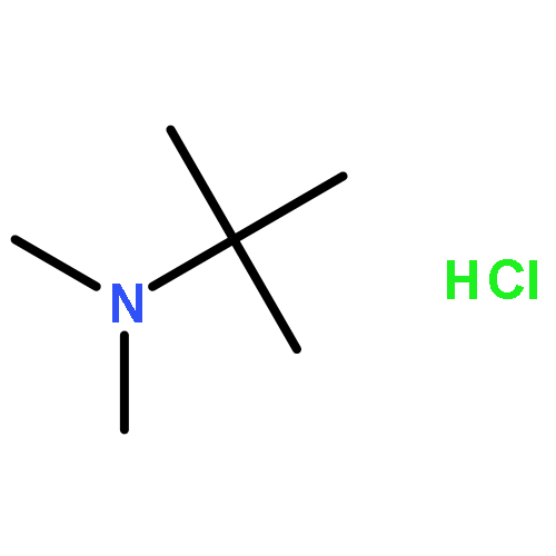 N,N,2-trimethylpropan-2-amine,hydrochloride
