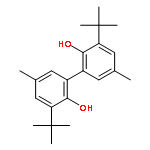 [1,1'-Biphenyl]-2,2'-diol, 3,3'-bis(1,1-dimethylethyl)-5,5'-dimethyl-