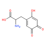 3-(6-hydroxy-3,4-dioxocyclohexa-1,5-dien-1-yl)-L-alanine