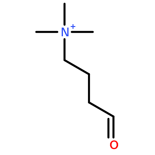 1-Butanaminium,N,N,N-trimethyl-4-oxo-