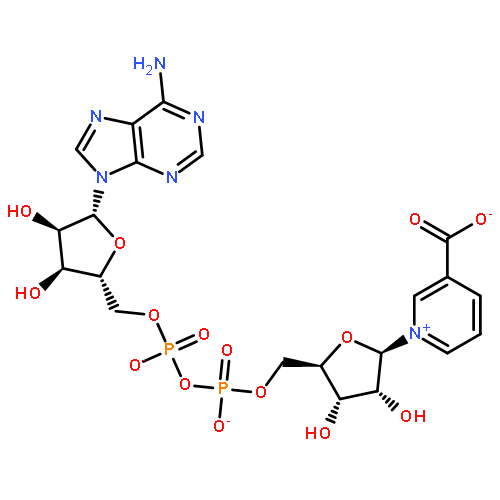 1-[5-[[[[5-(6-Aminopurin-9-yl)-3,4-dihydroxy-oxolan-2-yl]methoxy-hydroxy-phosphoryl]oxy-hydroxy-phosphoryl]oxymethyl]-3,4-dihydroxy-oxolan-2-yl]pyridine-5-carboxylate