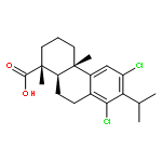 12,14-dichlorodehydroabietic acid