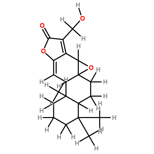 Caudicifolin