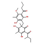 2,4-Cyclohexadien-1-one,6-[[2,6-dihydroxy-4-methoxy-3-methyl-5-(1-oxobutyl)phenyl]methyl]-3,5-dihydroxy-4,6-dimethyl-2-(2-methyl-1-oxobutyl)-