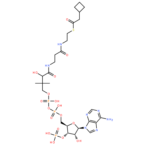 S-[2-[3-[[4-[[[(2R,3S,4R,5R)-5-(6-AMINOPURIN-9-YL)-4-HYDROXY-3-PHOSPHONOOXYOXOLAN-2-YL]METHOXY-HYDROXYPHOSPHORYL]OXY-HYDROXYPHOSPHORYL]OXY-2-HYDROXY-3,3-DIMETHYLBUTANOYL]AMINO]PROPANOYLAMINO]ETHYL] 2-CYCLOBUTYLETHANETHIOATE