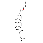 cholesteryl phosphoryl choline