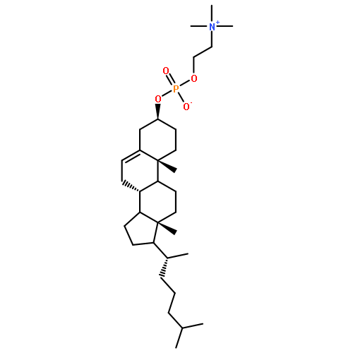 cholesteryl phosphoryl choline