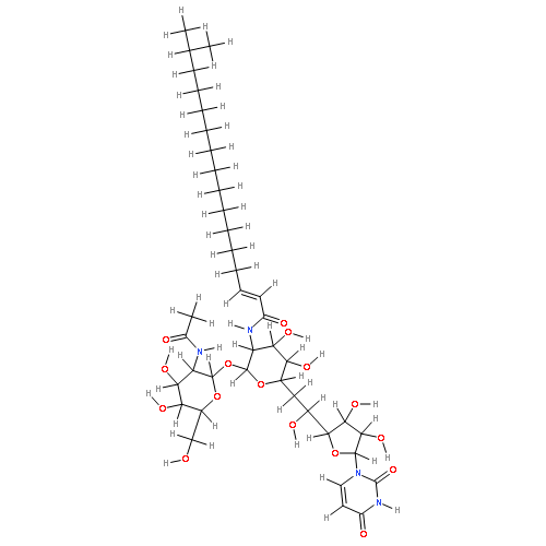 Tunicamycin X